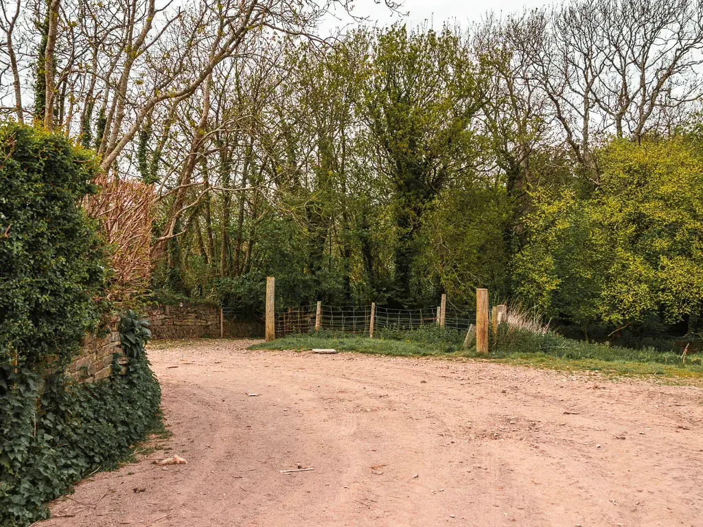 A wide dirt path with some trees ahead. There is a small fence in fornt of the trees, and a gap just to the left of them with a path.