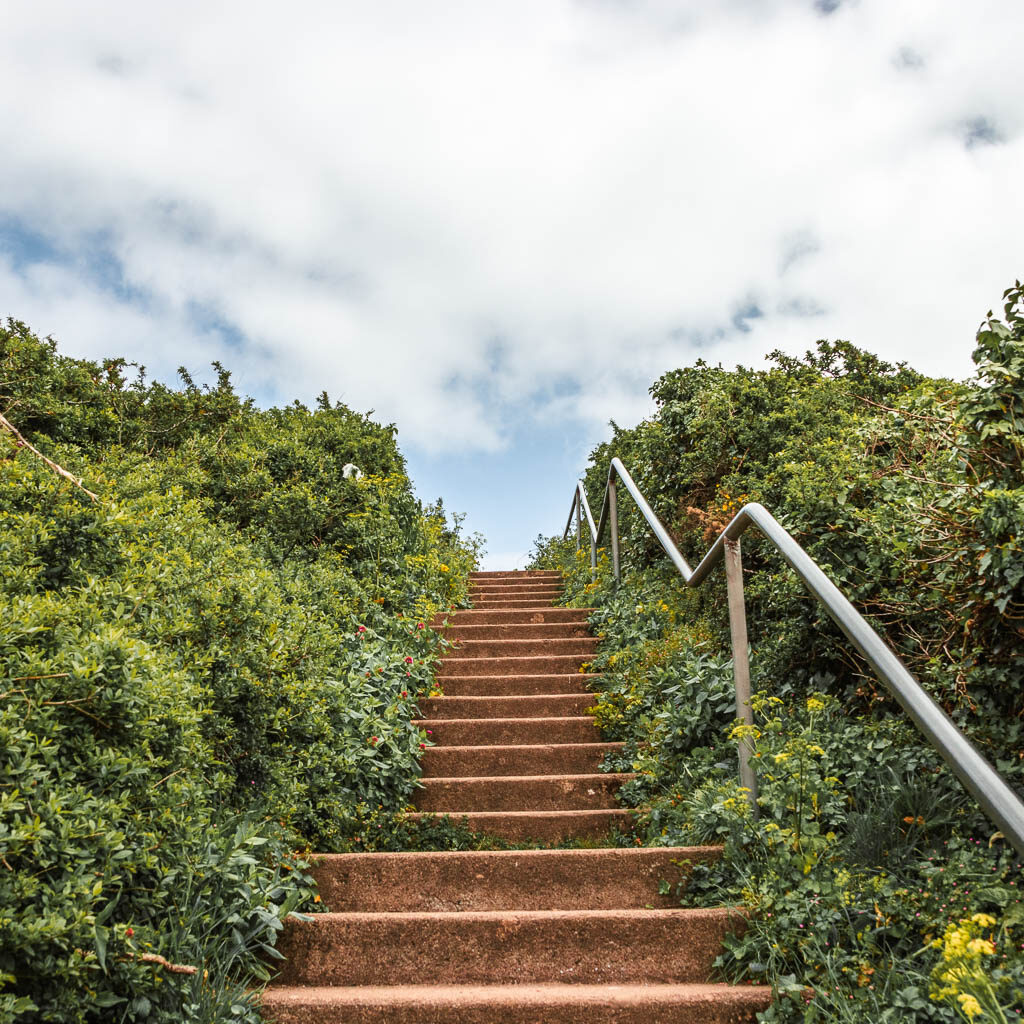 Steps leading uphill, surrounded by bushes, and a metal railing on the right.