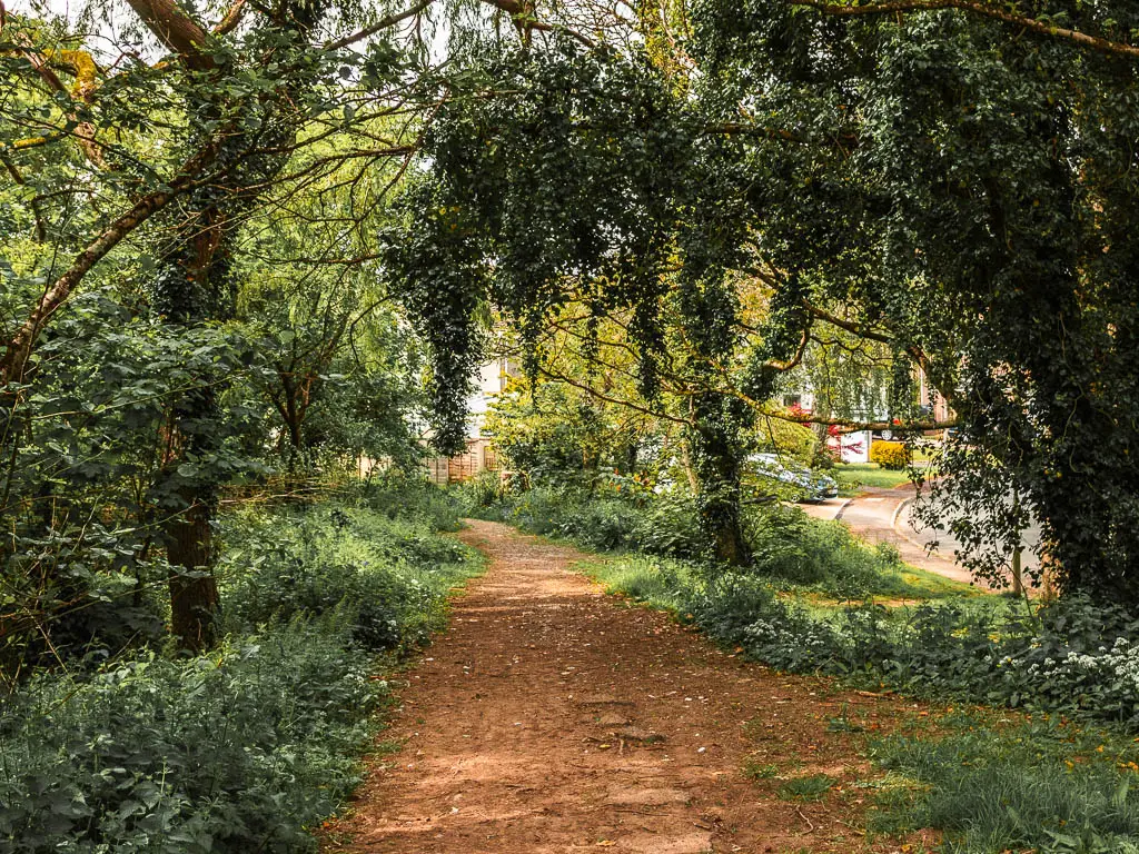 a wide dirt path under the woodland tress and a small gap to a road on the right.