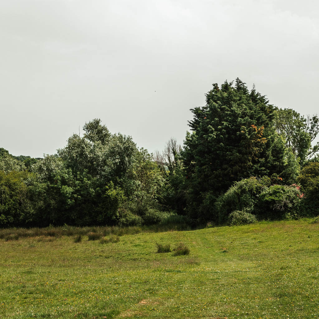 A green grass field, with some trees on the other side. 