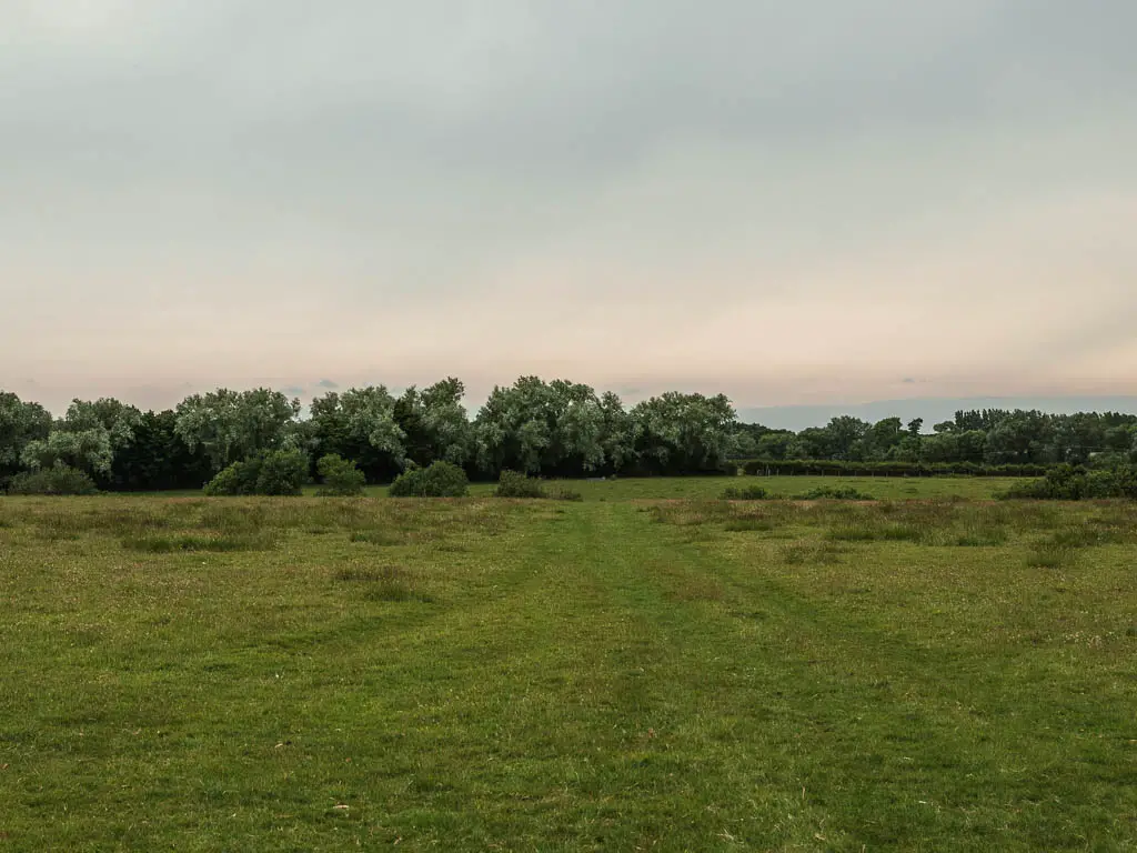 A large green grass field, with trees ahead on the other side. 