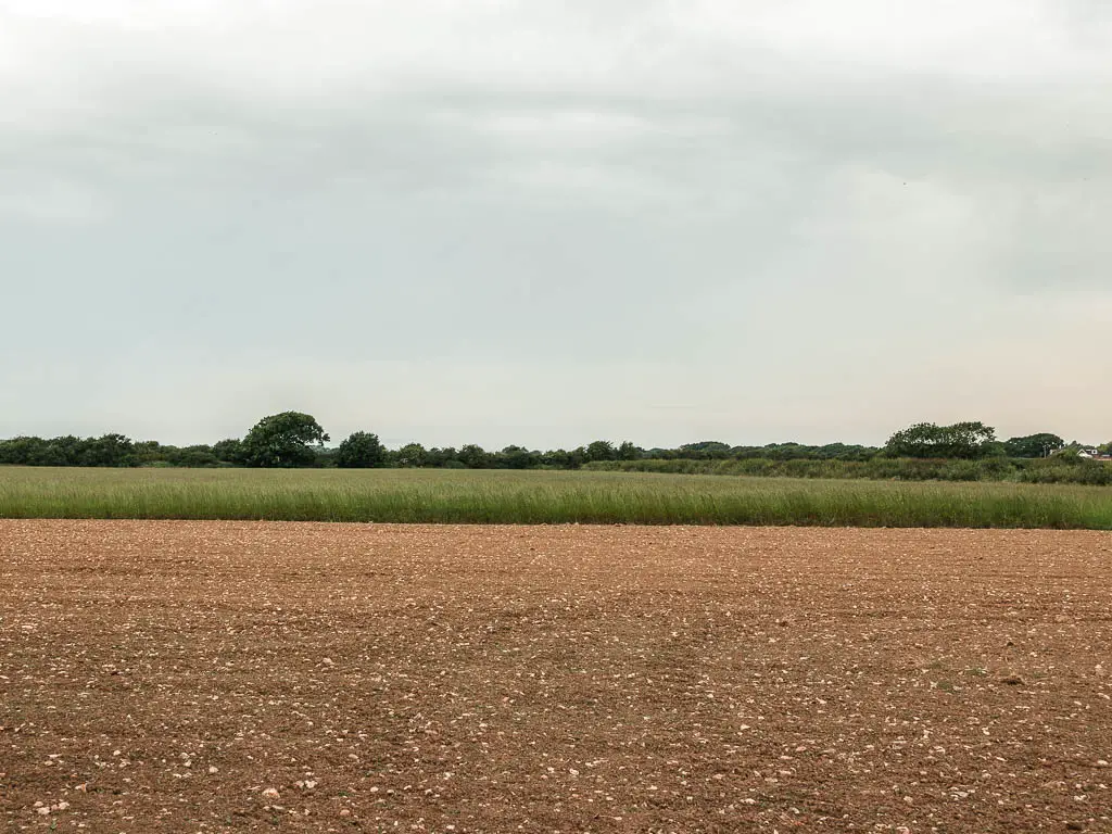 An empty brown crop field, with green crops ahead, near the end of the Long Man of Wilmington walk.