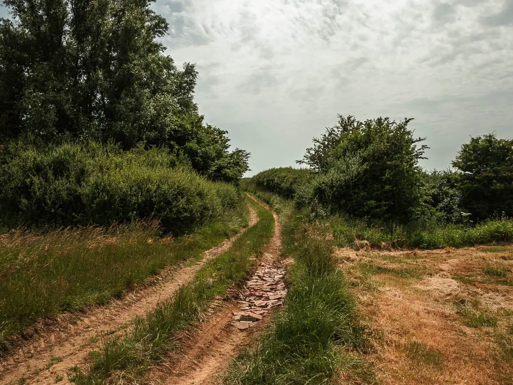 A dirt, dried mud track leading straight ahead, lined with grass and then bushes further along. 