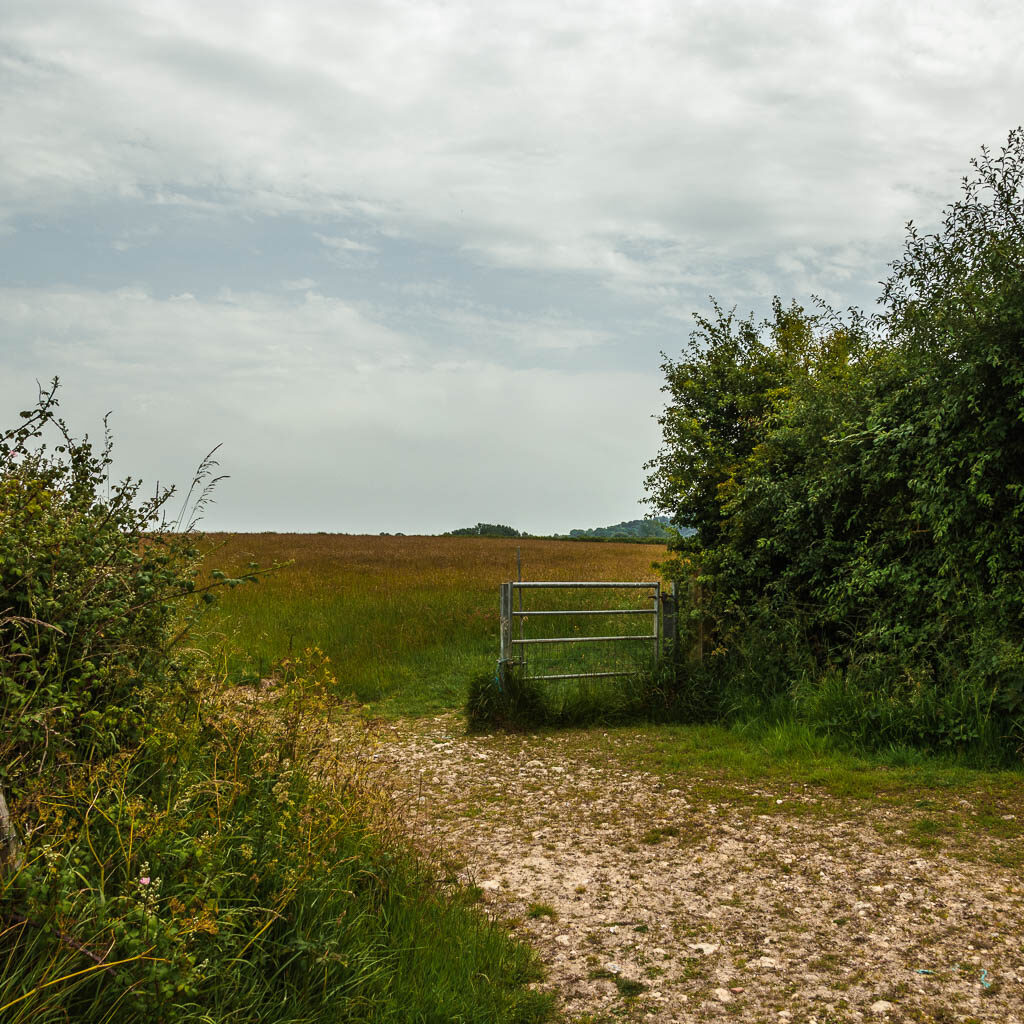 A path leading through a gap in the bushes and into another field. 