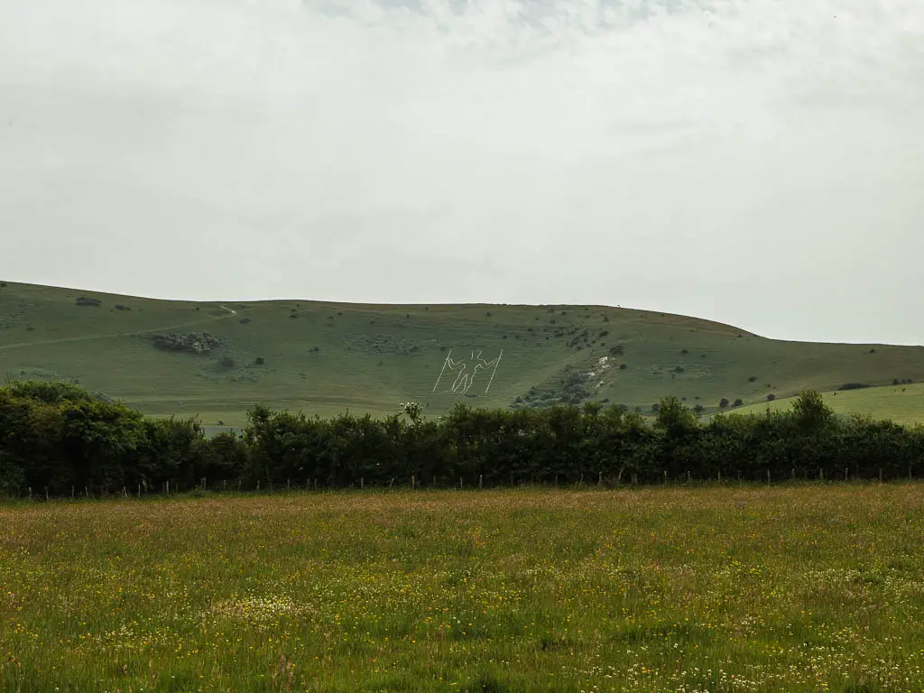 Looking across the grass field, the the hill ahead, with the Long Man of Wilmington on the side of it, along the circular walk. 