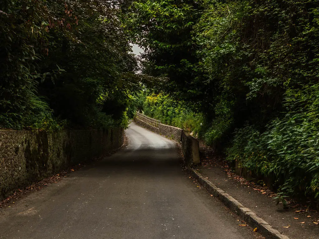 The road leading under the trees to an opening ahead on the walk to the Long Man of Wilmington. There is a stone wall on the left, then further ahead out of the tress, the stone wall is on the right. 