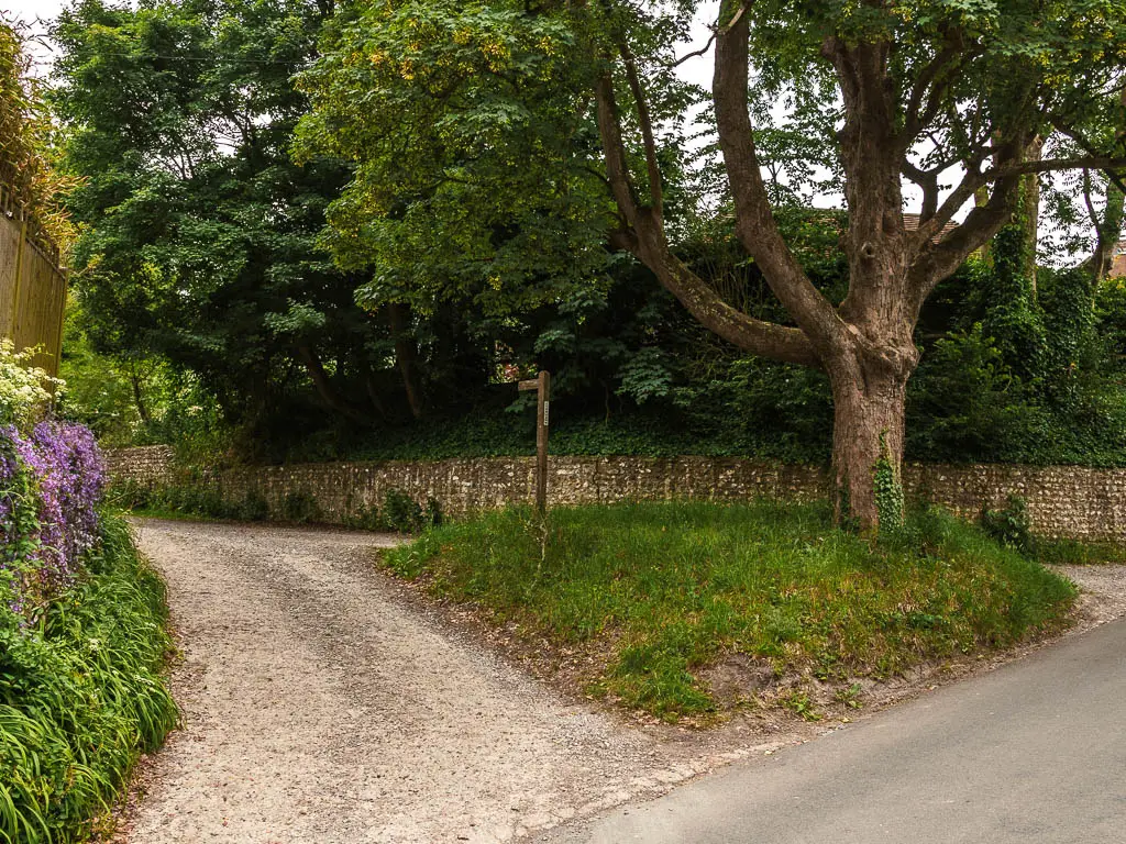 A gravel side road leading left off the main road. There is a small green in the junction with a large tree and a wooden trail signpost. 