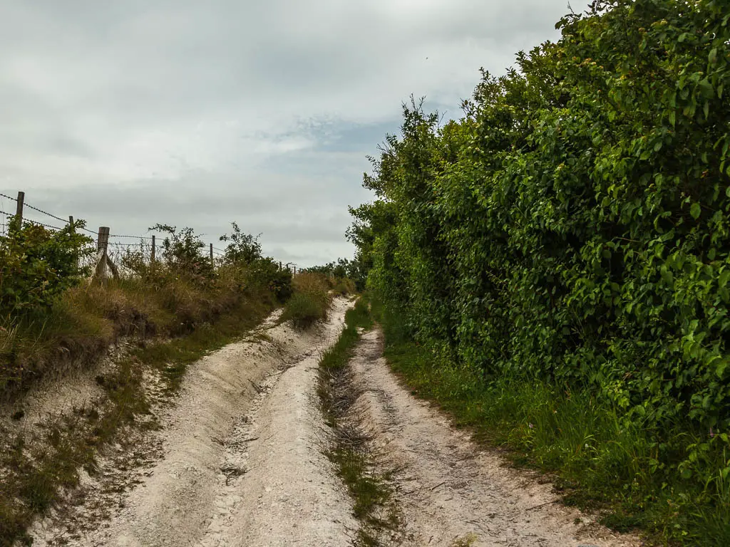 A chalk path leading uphill on the walk to the Long Man of Wilmington. There is a wire fence on the left and a tall hedge on the right. 