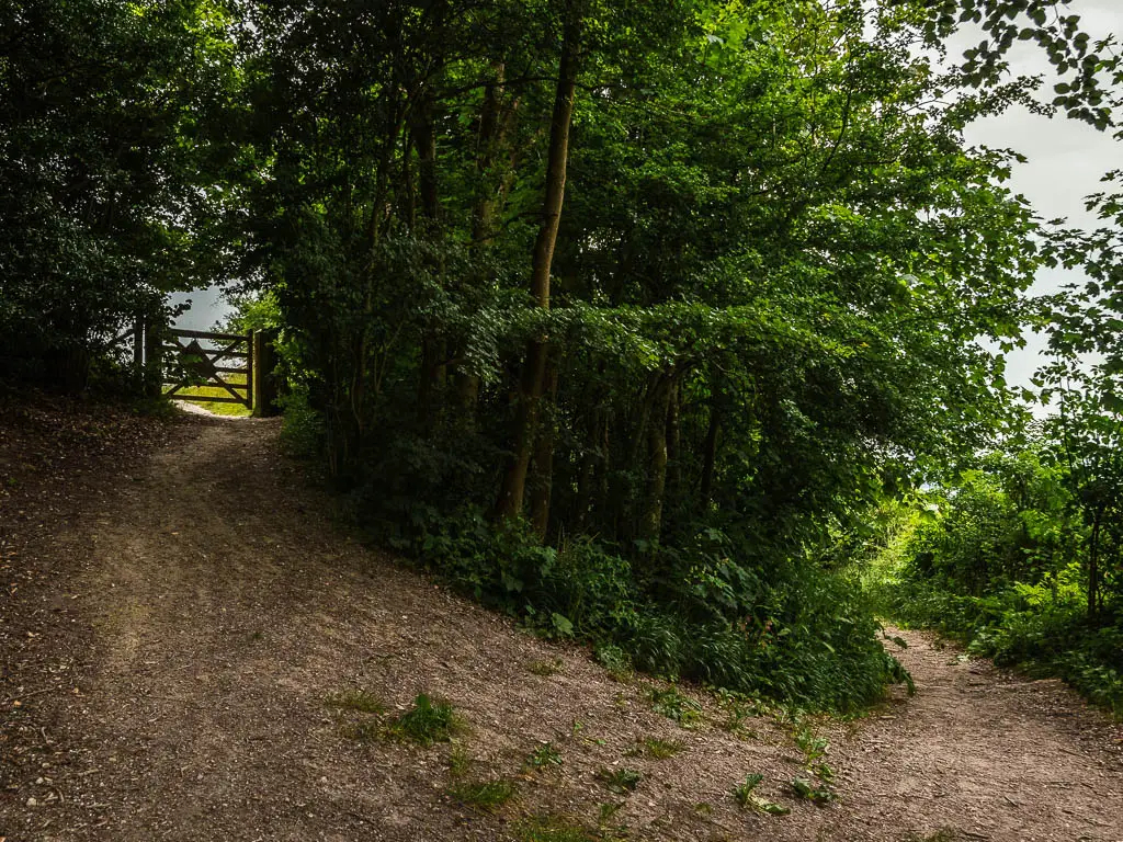 Looking back at the trail split, with a wooden gate to the left. 