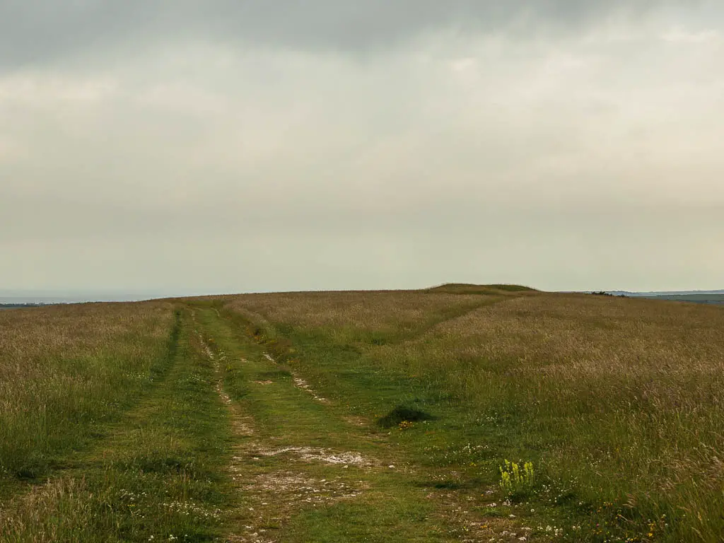 A wide grass path across the top of the hill and a small one leading off to the right.