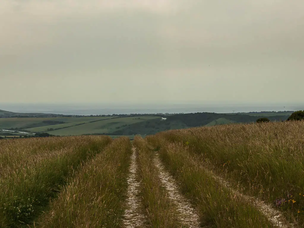 Four chalk trails running in a straight line, separated by tall grass with a view in the distance to a white chalk horse on the side of the hill.