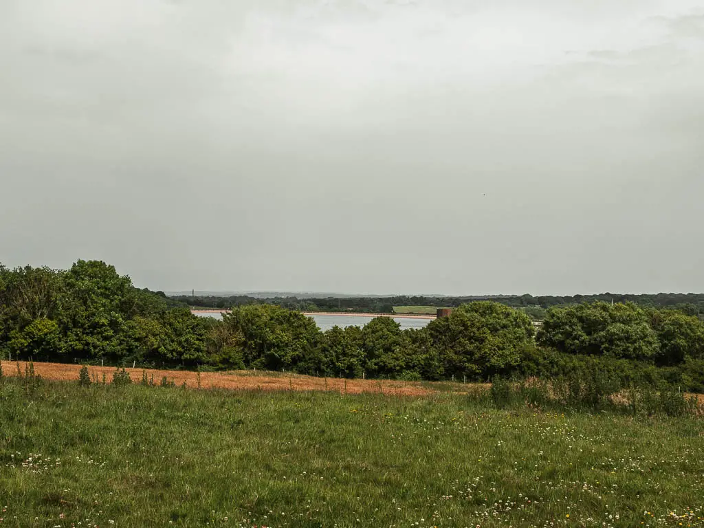 Looking across the field to some trees on the other side and a small peak to the Arlington reservoir on the other side. 