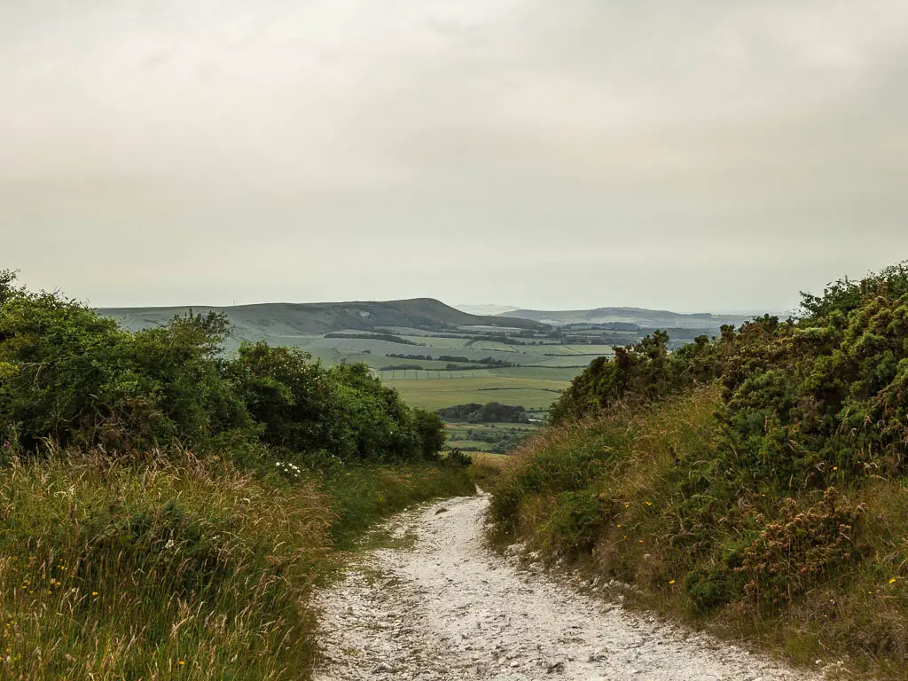 The rugged chalk trail leading down through the bushes on the Long Man of Wilmington walk. There is a view the some fields and hills of the South  Downs in the distance. 