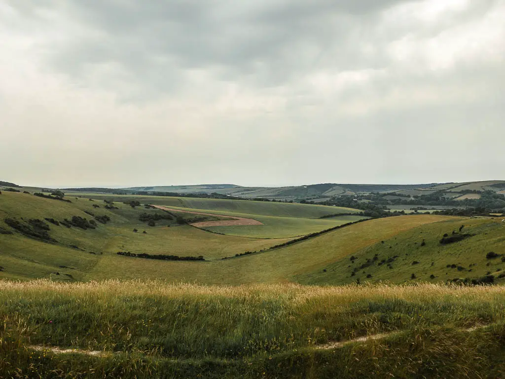 Looking down into the wall between the wavy hills, on the walk away from the Long Man of Wilmington.