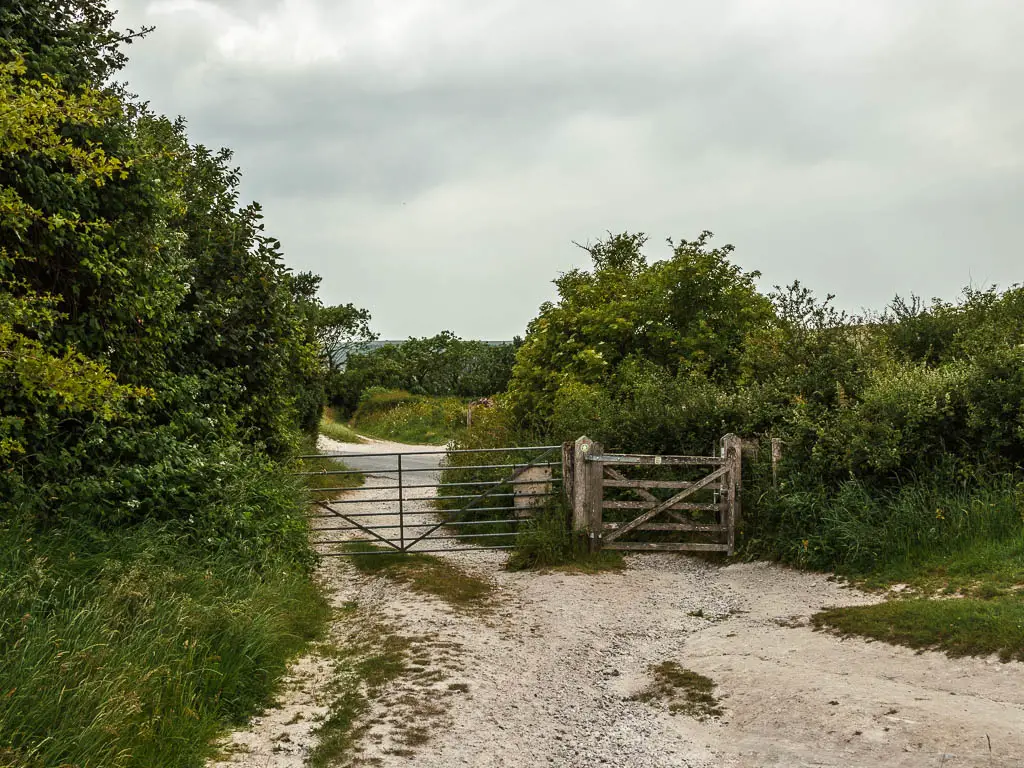 The chalk path leading to a metal and wooden gate between the bushes, and the road on the other side.