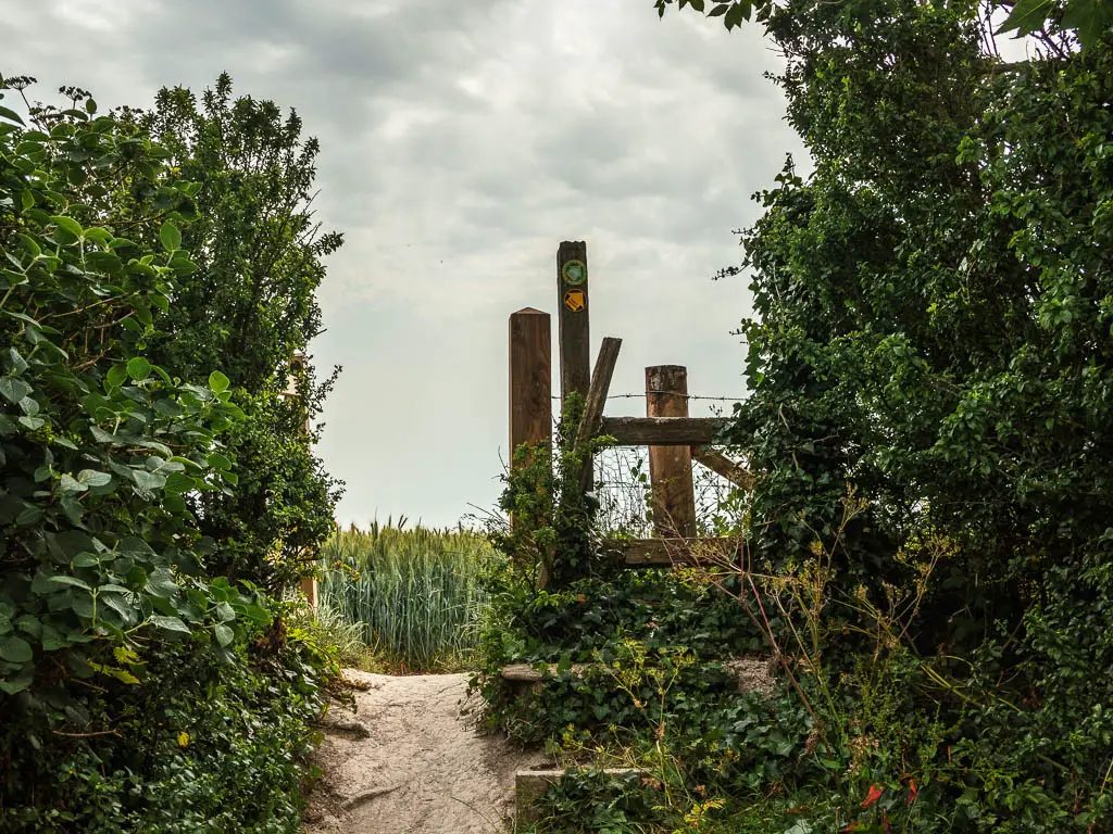 A small gap in the bushes, with a wooden trail signpost.