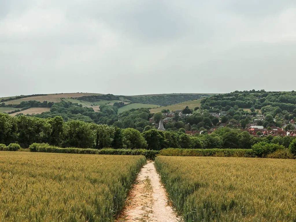 A path running through the middle of a crop field with a view ahead ti the top of a church and the village houses of Alfriston, on the walk away from the Long Man of Wilmington.