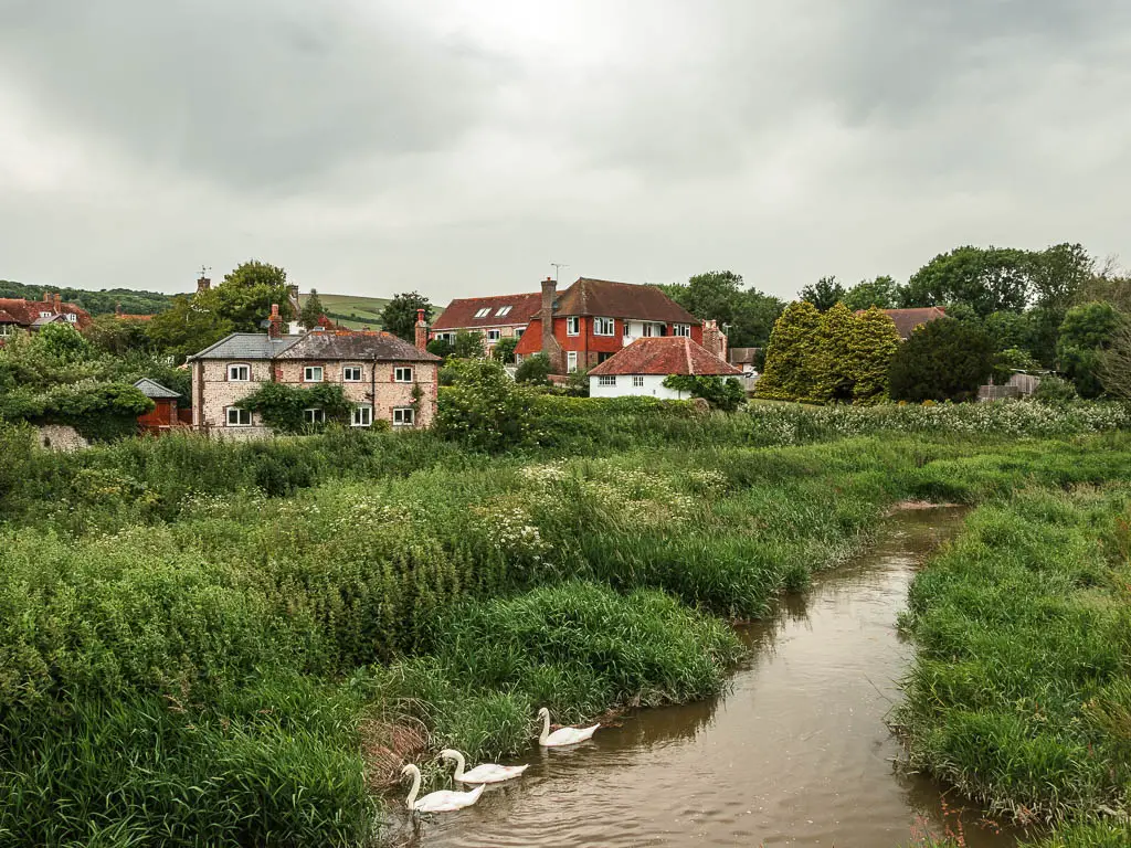 A river below, surround by lots of green grass, and a few houses ahead, partially hidden by grass on the walk through Alfriston from the Long Man of Wilmington. There are three swans in the river. 