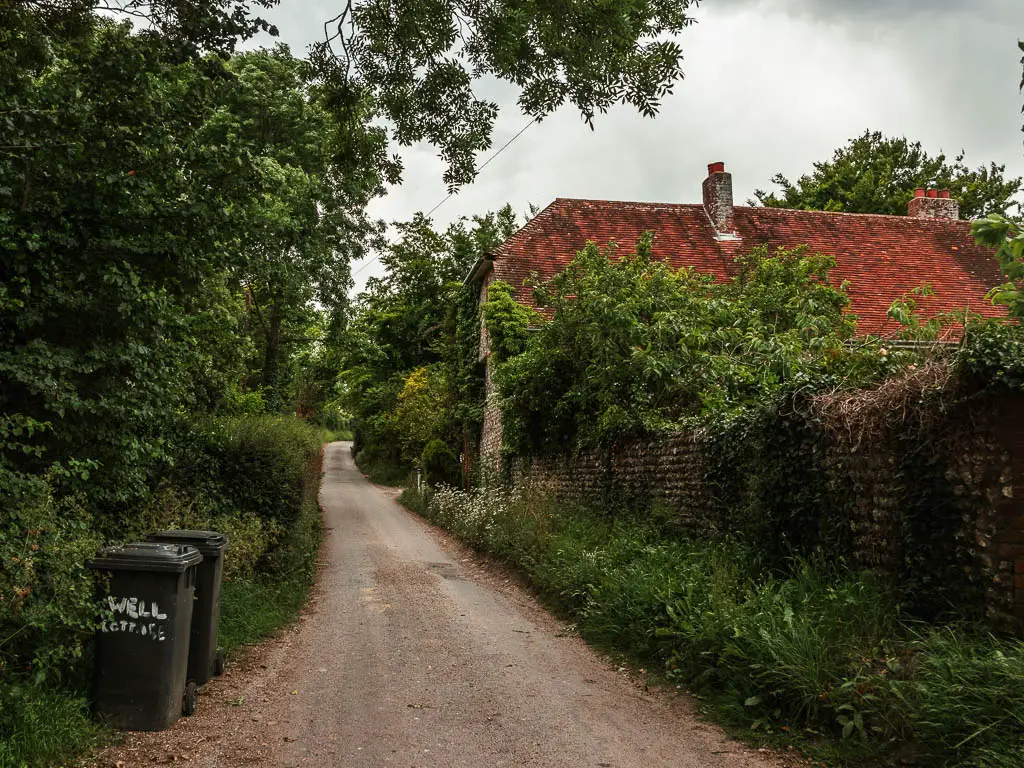 A country road lined with bushes on the left and a stone wall on the right. a red rooftop is visible behind the wall.