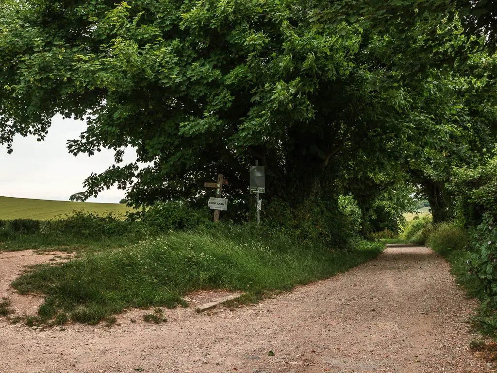 A gravel type wide path on the right, leading through a bush trees tunnel. 