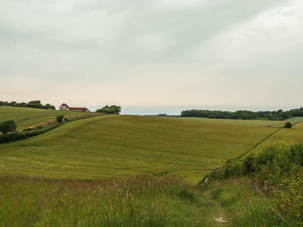 Looking down and across the undulating green field near the end of the Long Man of Wilmington circular walk. A cottage is visible just over the other side of the hill to the left.