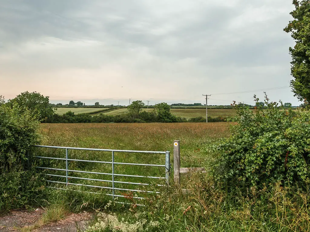 A metal gate leading into a field.