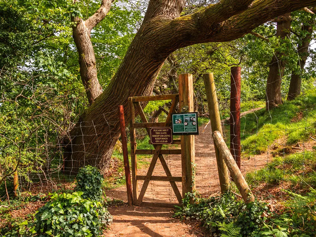 a wooden door gate and wire fence, with a large leaning tree trunk over the gate.