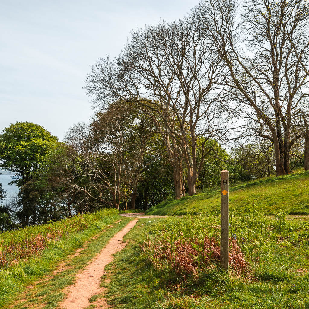 a path on the left side, running through the grass green towards some trees. There is a wooden stump signpost on the right.