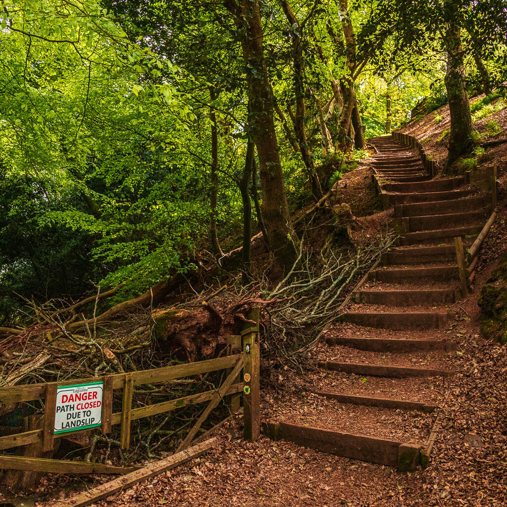 Steps leading up through the woods, and a no entry wooden gate on the left.