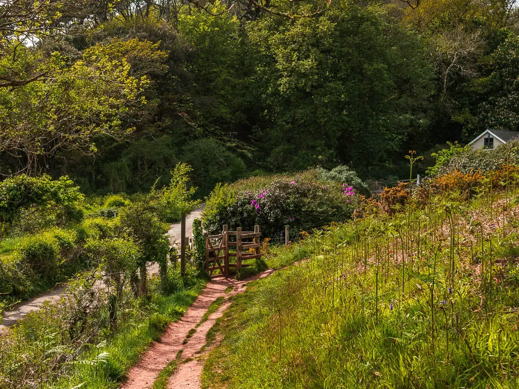 A dirt trail at the bottom of the hill with long grass, leading to a wooden gate. There is a small road running parallel to the trail on the left.