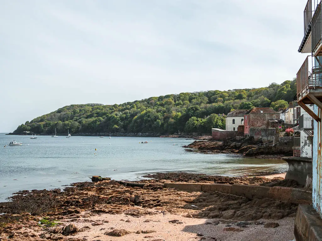 Looking along the sandy, rocky shoreline, with some houses of Kingsand just visible on the right on the circular walk from Mount Edgcumbe. There is a tree covered peninusular ahead. 