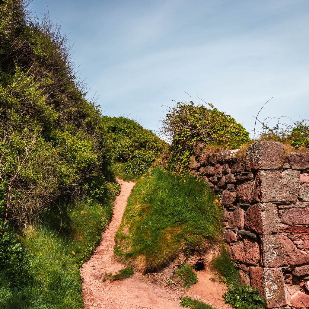 A small trail leading up through a gap in the stone wall and hedge.