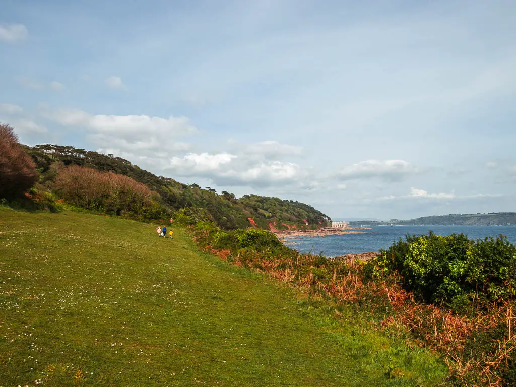 Looking along the green grass hillside, with some bushes on the left and the blue sea on the other side along the Mount Edgcumbe to Kingsand circular walk. 