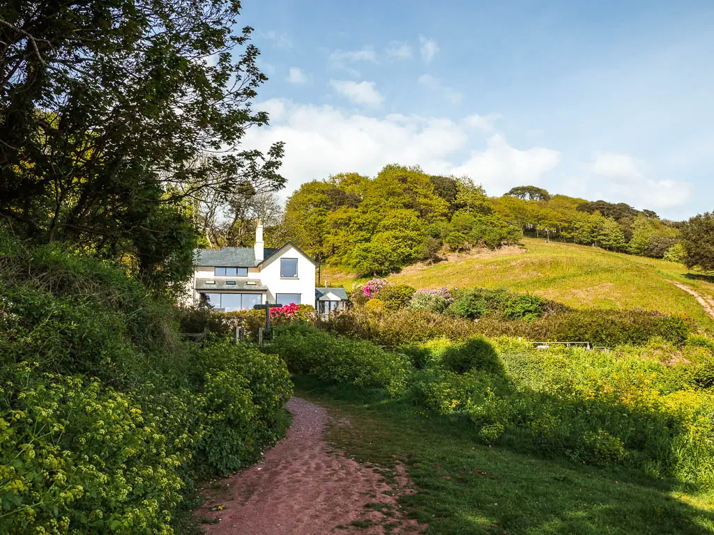 A sandy path with grass to the right and bushes to the left whit a white coloured house a head on the Mount Edgcumbe to Kingsand circular walk. There is a green hill field to the right of a house.