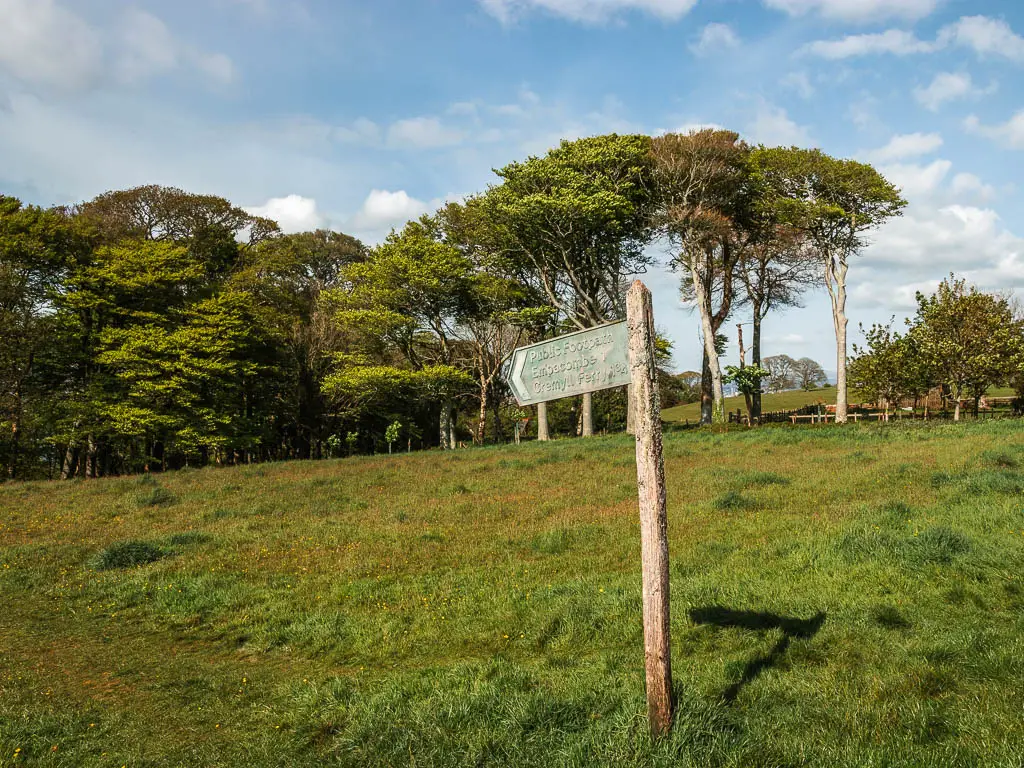 A wooden signpost with a green sign in a field. 