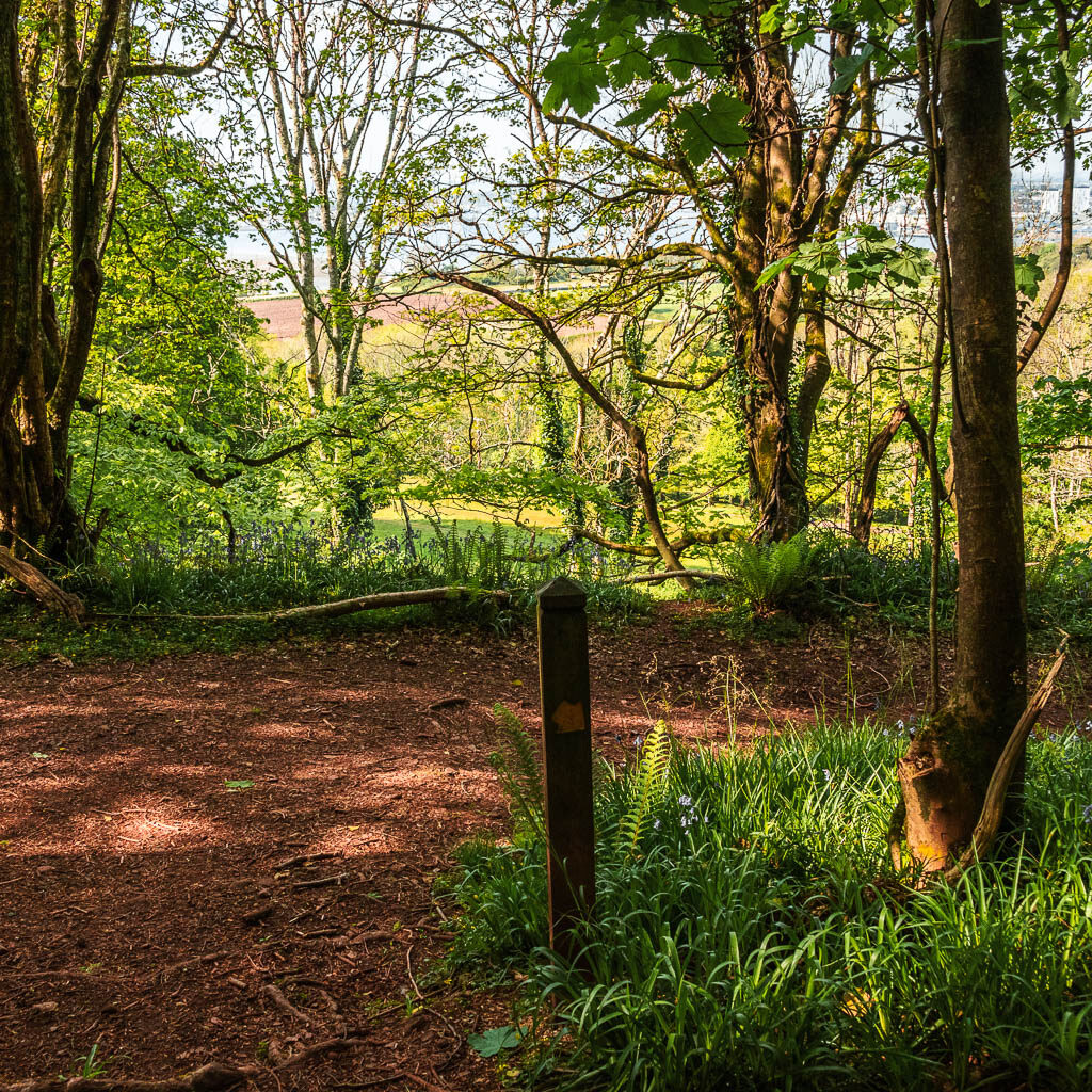 A wooden trail signpost with an arrow pointing right at the trail junction.