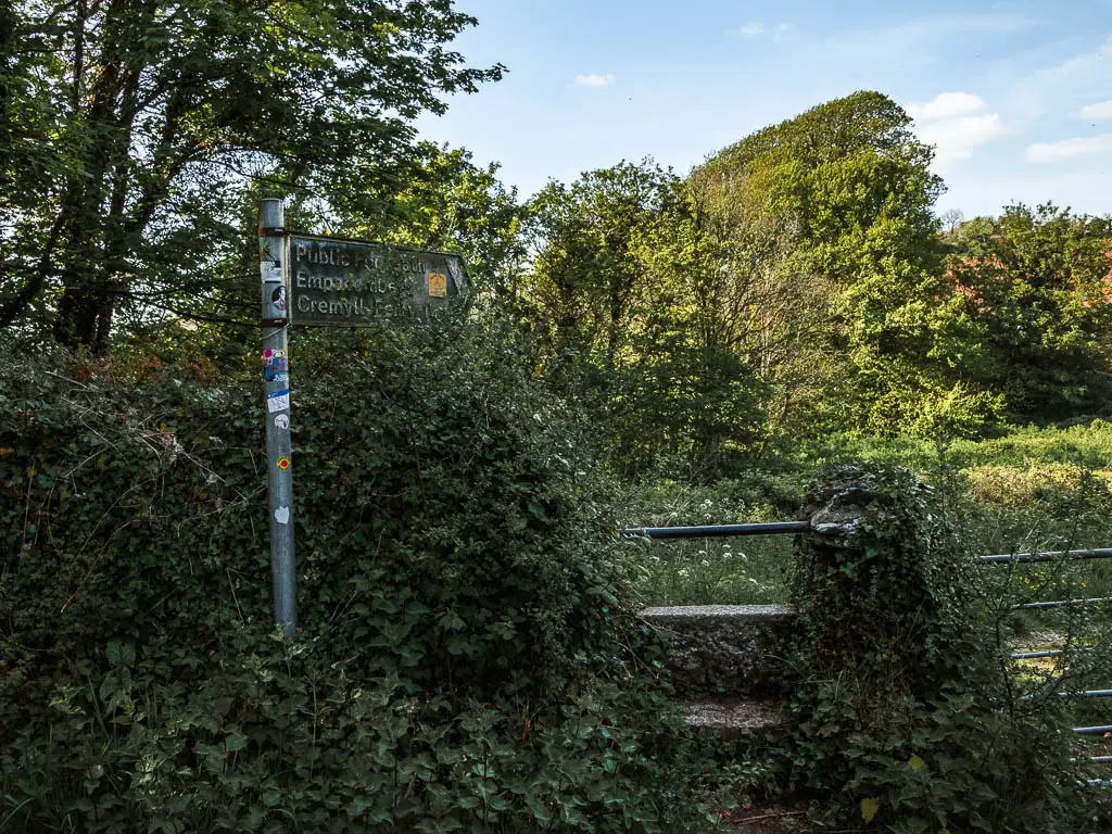 Stone steps nestled within the bushes.