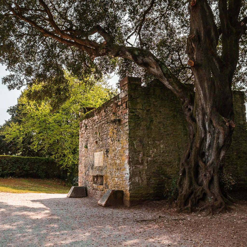 A stone building ruins on the side of the path. There is a large tree next to the building.