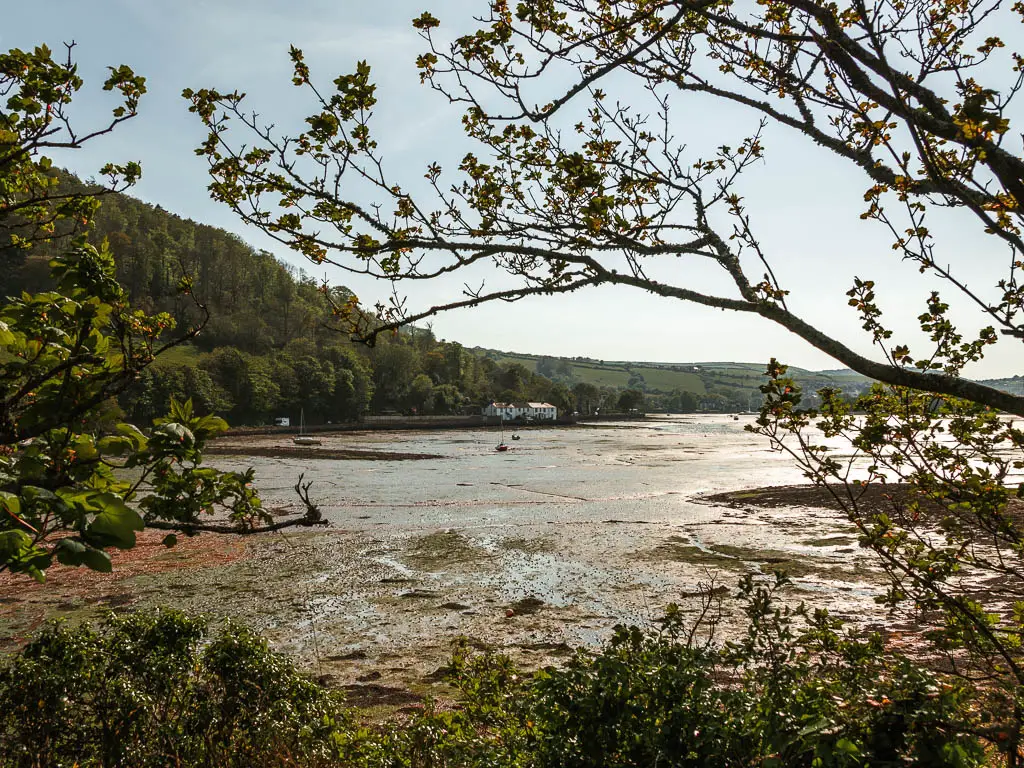 Looking through a gap in the trees to the river bed at low tide and a small cottage on the other side nestled with in the trees. 