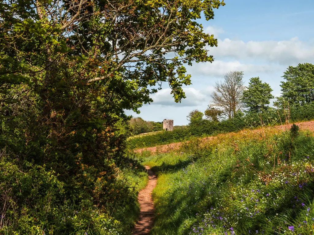 a narrow dirt trail with tall grass on the right and bushes on the left, and some ruins ahead in the distance. 