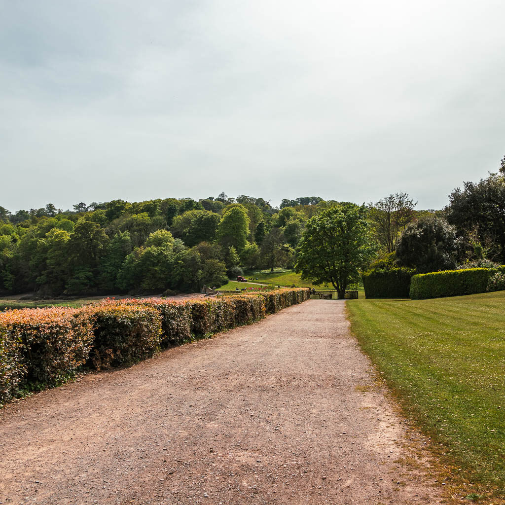 a wide path with a small hedge lining the left side, and a grass green on the right. There is a large cluster of trees ahead. 