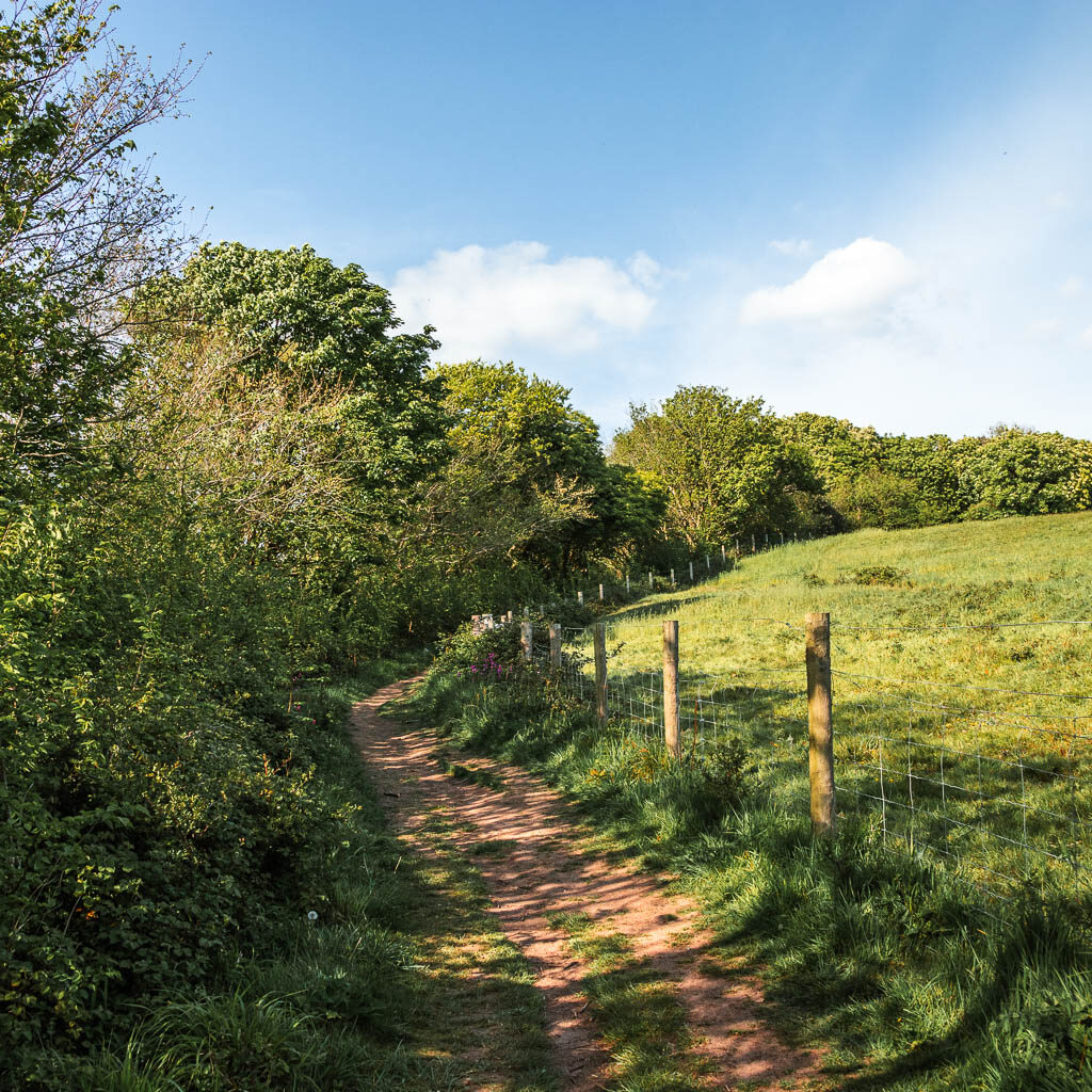 A trail with bushes on the left and a wire fence and field to the right.