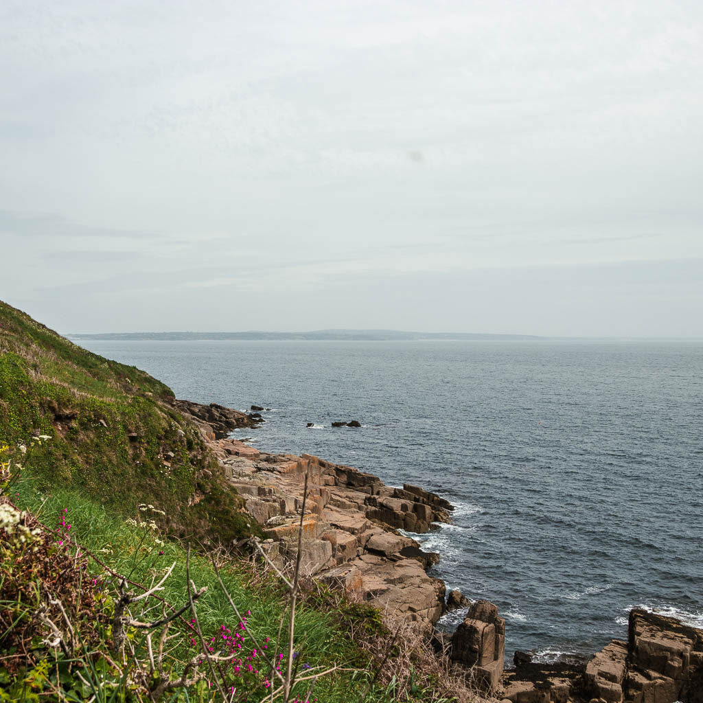 A green grass hill leading down to the rocks as it meets the sea on the coastal walk from Mousehole to Lamorna.