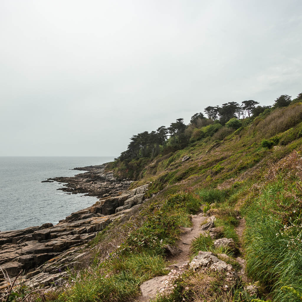 Looking along the hill as it leads down to some rocks which meet the sea. 