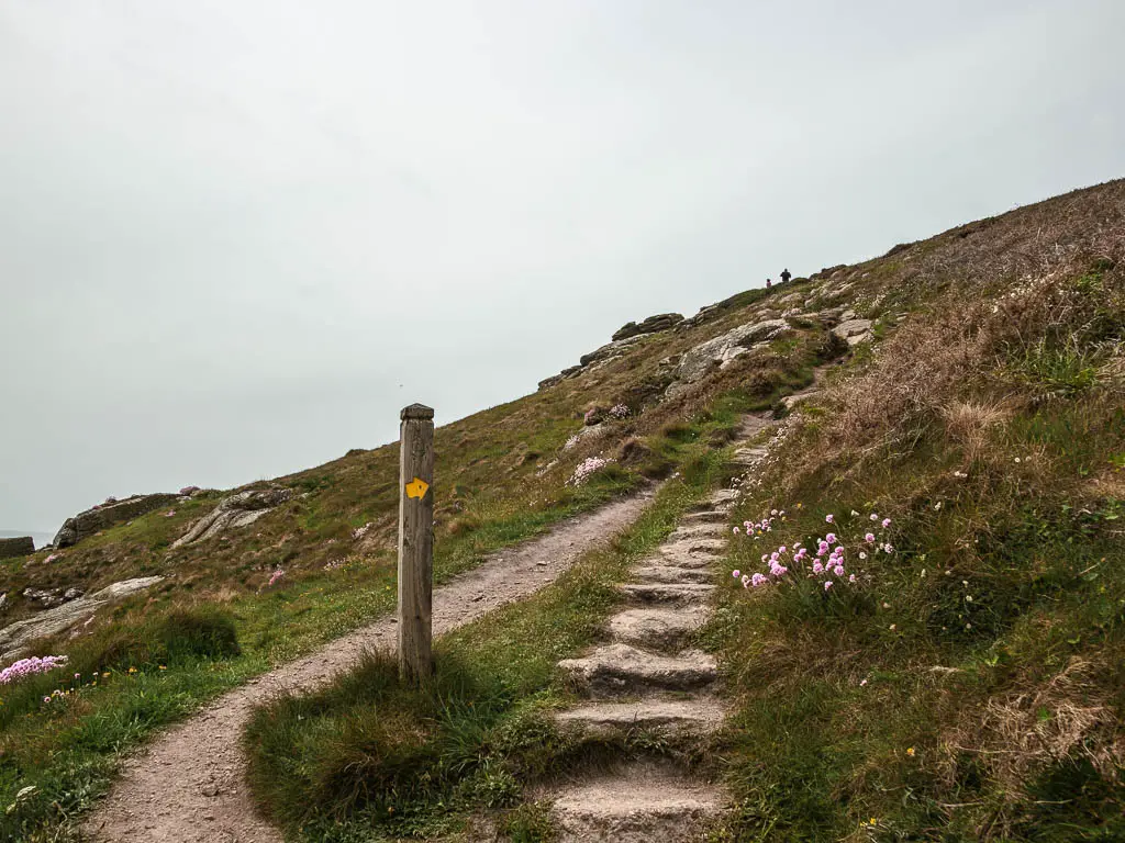 Stone steps leading uphill, with a trail running next to it on the walk from Mousehole to Lamorna. The hill is grassy with a few pretty flowers dotted about. There is a wooden trail signpost next to the steps, with a yellow arrow pointing uphill.