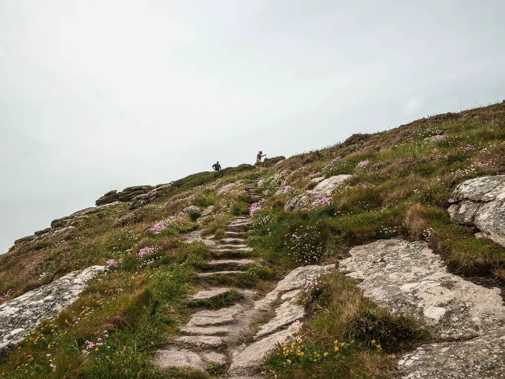 Rock steps leading uphill on the coastal walk from Mousehole to Lamorna. The hill is covered with grass with small pretty pink flowers. There are two people walking on the two of the hill.