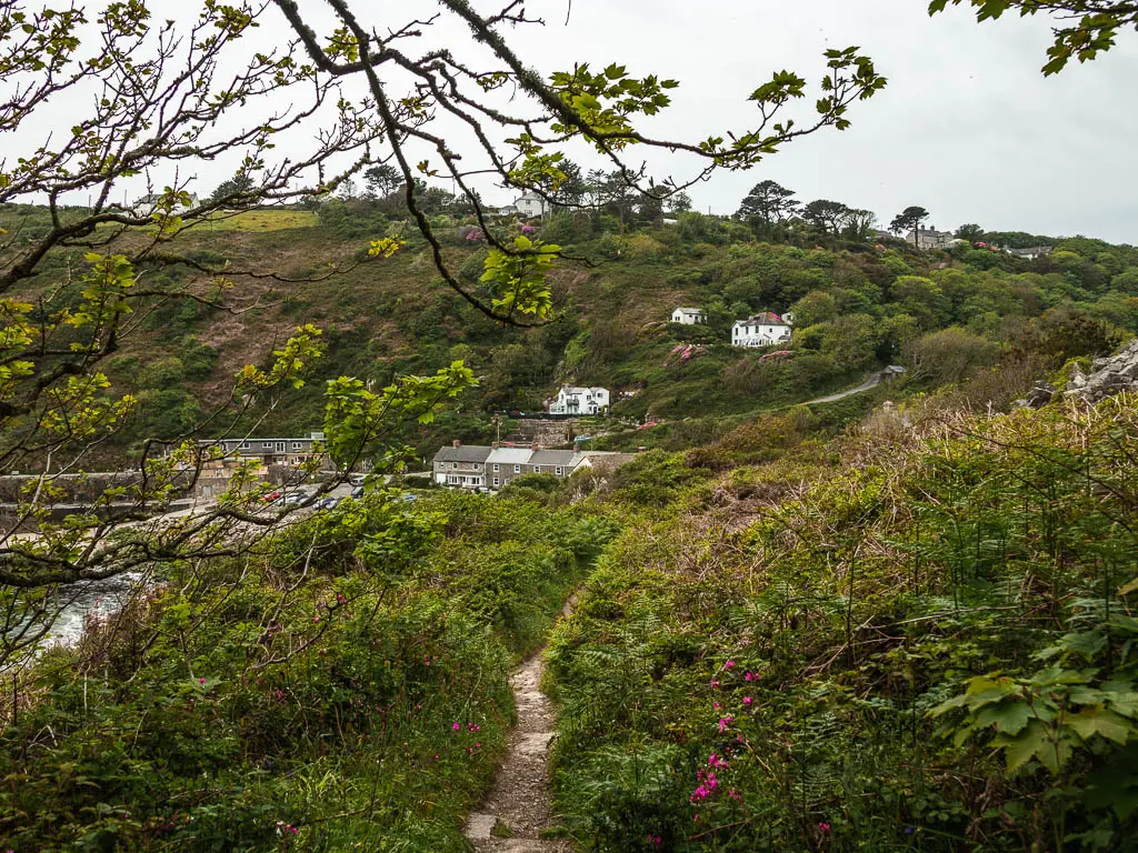 A small trail running through the grass and bushes on the Mousehole to Lamorna walk. There is a view to a green hill ahead with a few white house on it. 