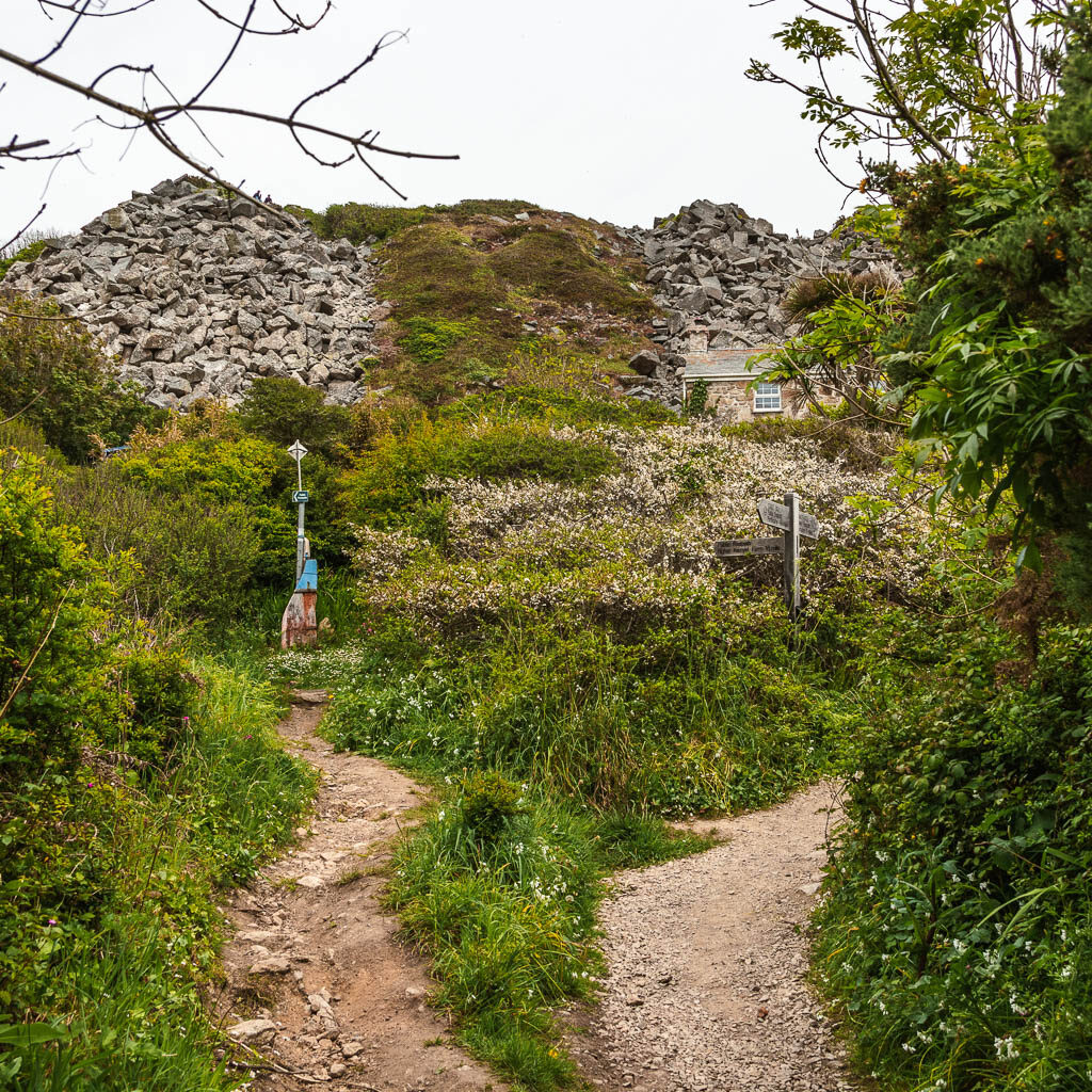 A trail spilt, with both trails lined with grass and bushes. There are piles of rocks ahead. 