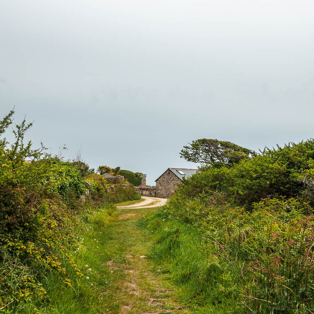 A grass trail leading towards the road and a stone budding.