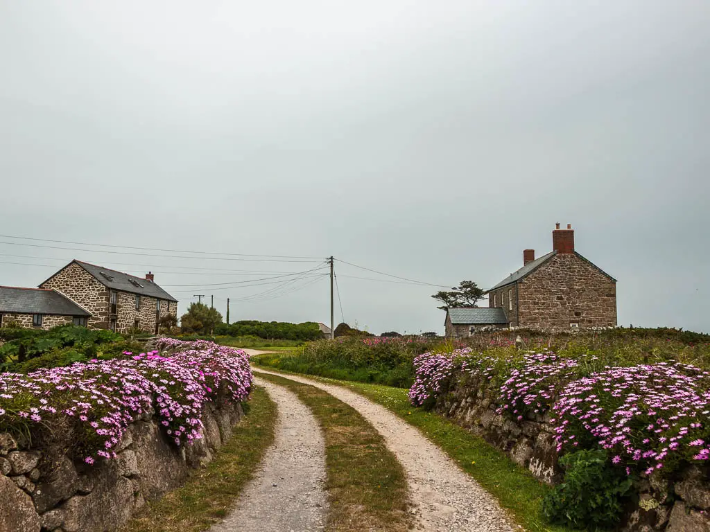 A road track lined with stones walls with pink flowers on the walk back to Mousehole from Lamorna. There are a few stone walled houses ahead.